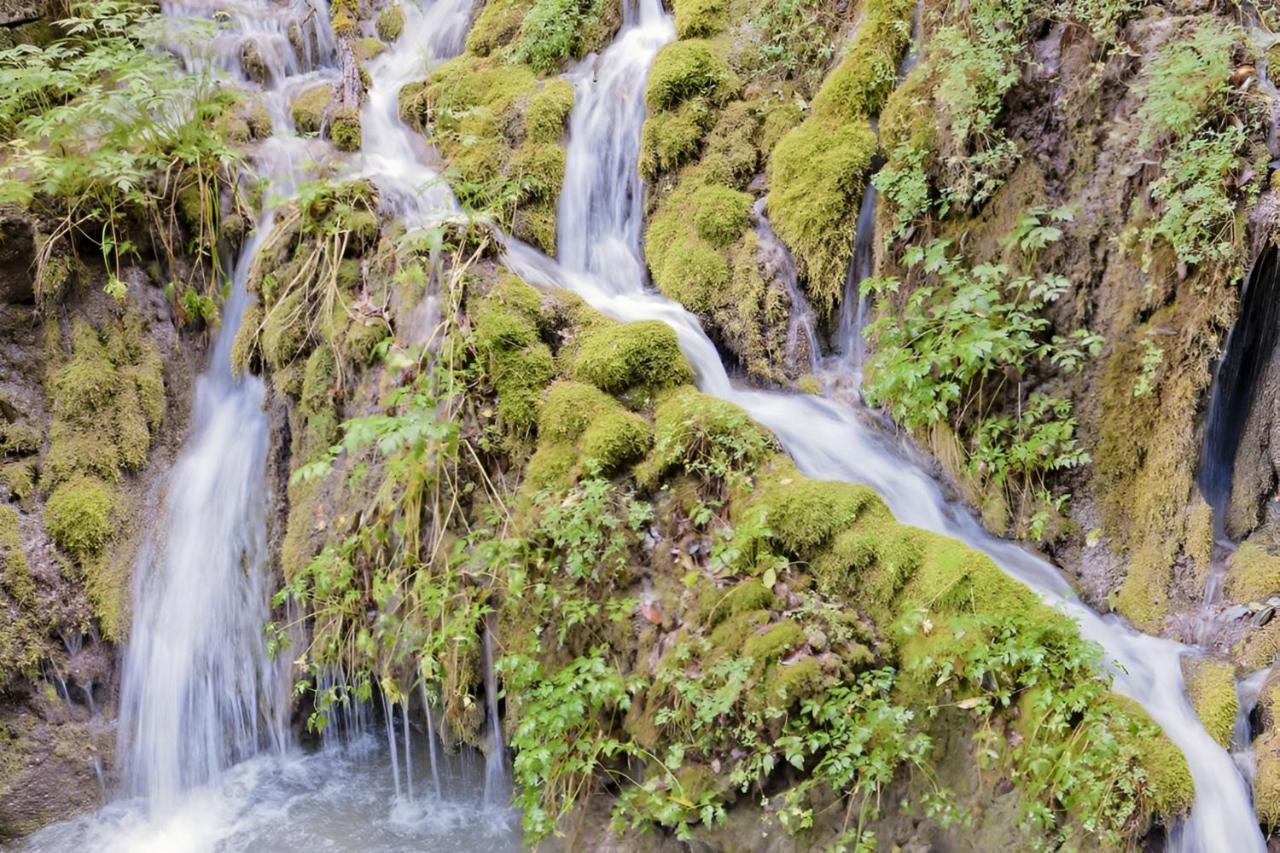 Waterfall & Pool ริวาเดลการ์ดา ภายนอก รูปภาพ